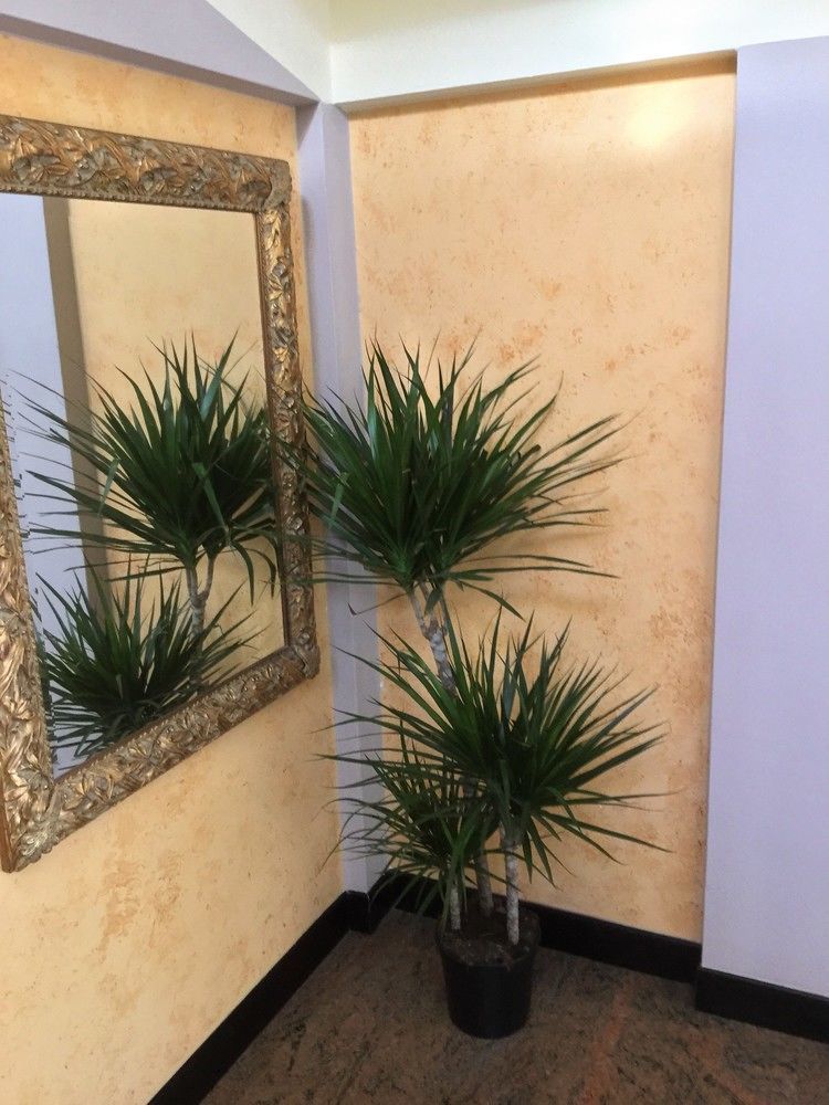 Hotel Marco Polo Self Check-In Bologna Exterior photo